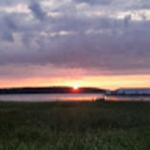 Meet your Posher, Ginny